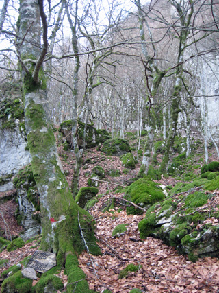 f0234936_821665.jpg