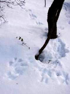 c0204740_19264917.jpg