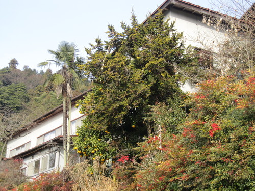 d0124543_21203874.jpg