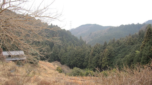 d0124543_21215724.jpg