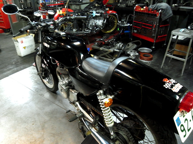 Animal honda #4