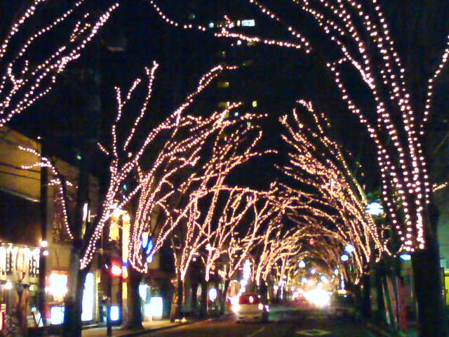 c0104445_2220620.jpg