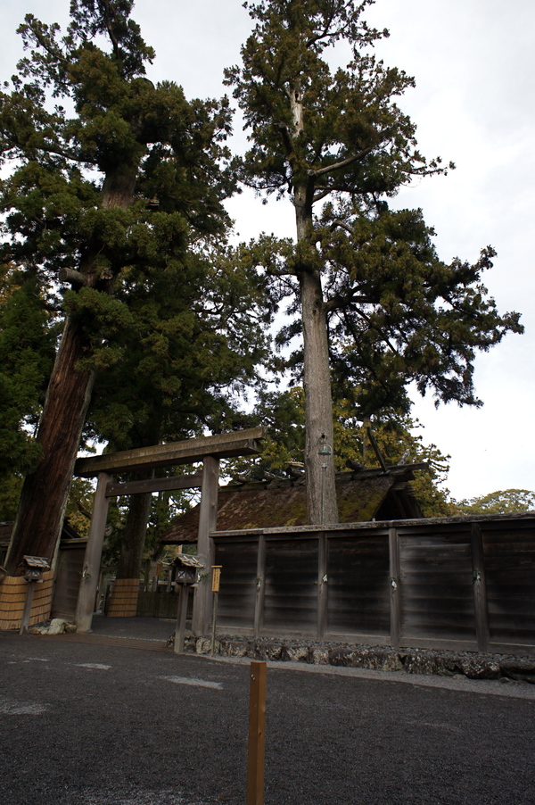 c0190847_2135616.jpg