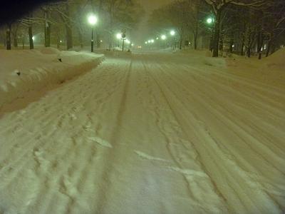 a0156548_2241261.jpg