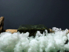 e0005548_1214368.gif
