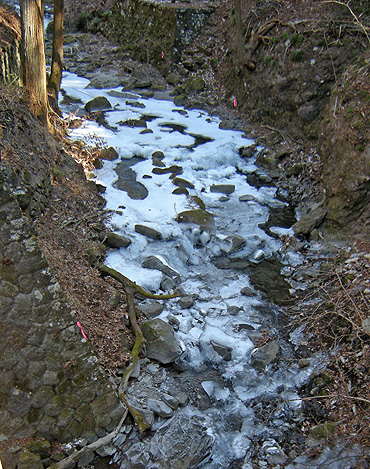 a0001354_20525389.jpg