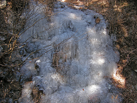 a0001354_2117752.jpg