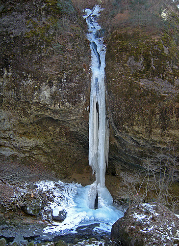 a0001354_2125571.jpg