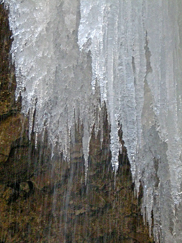 a0001354_21285567.jpg