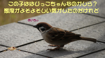 b0158061_2201991.jpg