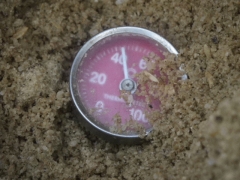 f0055264_23173971.jpg