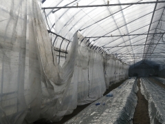 f0055264_23245298.jpg