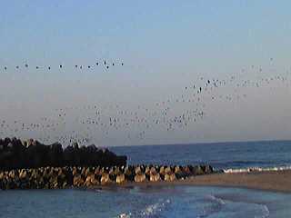 a0096669_17304141.jpg