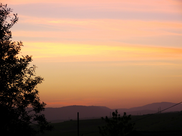 c0095273_9133050.jpg