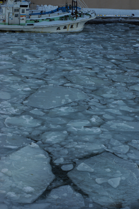 e0051186_16541438.jpg