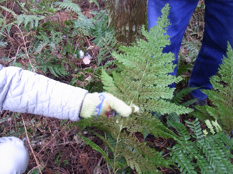 f0155489_18205948.jpg
