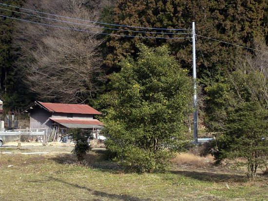 c0214190_11572417.jpg