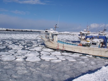 f0159390_17261280.jpg