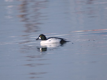 f0159390_17285180.jpg