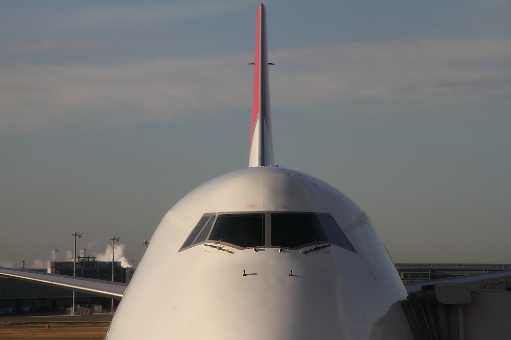 e0204891_2130797.jpg