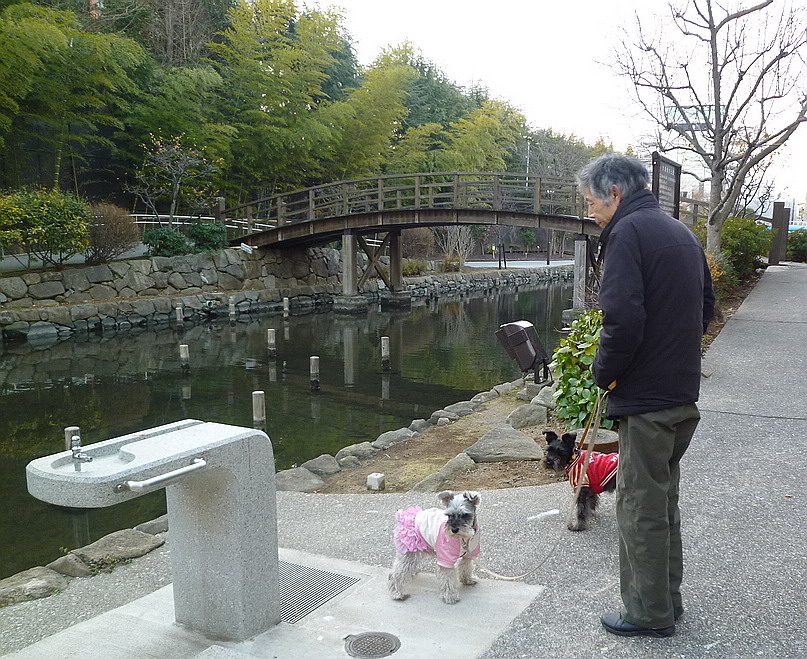 c0138198_10485381.jpg