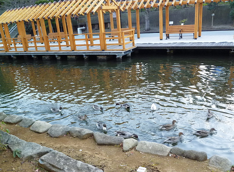 c0138198_10535261.jpg