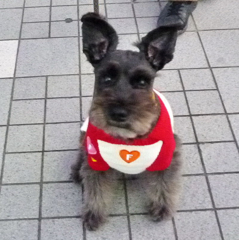 c0138198_110773.jpg