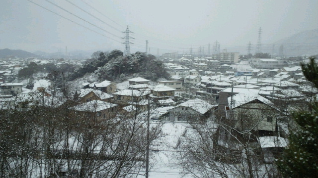 c0068901_20594854.jpg