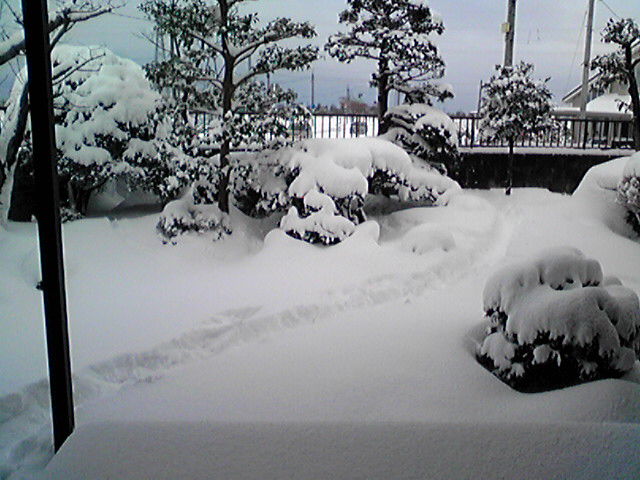 f0079202_14341492.jpg