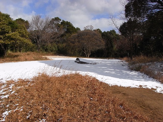 f0187402_16254261.jpg