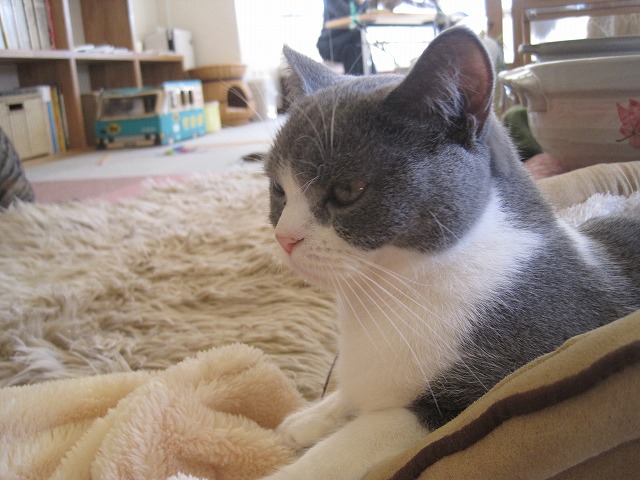 f0202703_8382121.jpg
