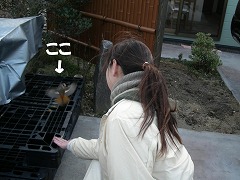 c0190010_2040996.jpg