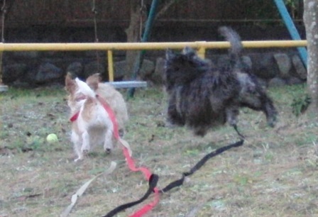 e0078510_0125760.jpg