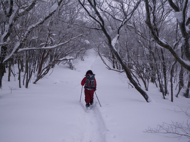 d0006512_10362170.jpg