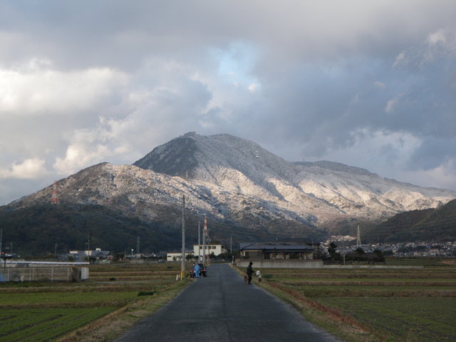 d0006512_10404049.jpg