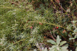 f0217217_19349.jpg