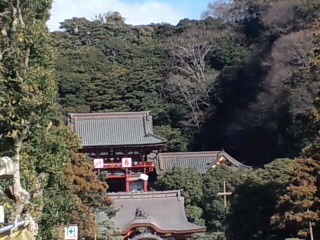 f0182920_11482045.jpg
