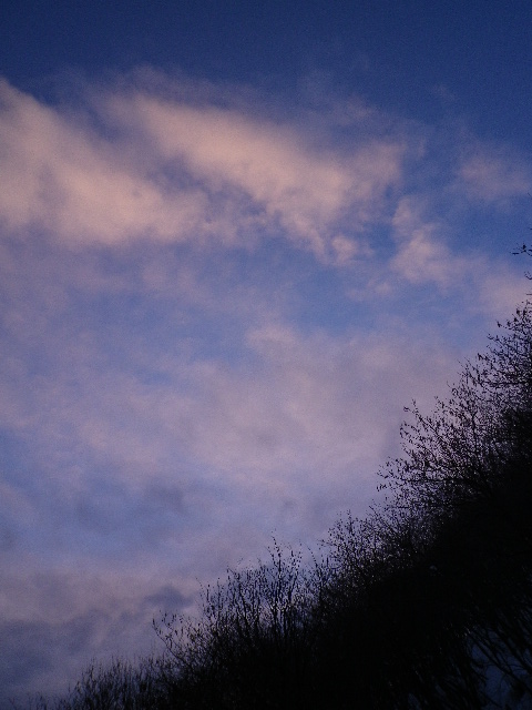 d0193224_20474072.jpg