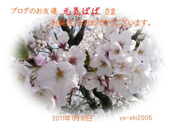 e0033229_9201243.jpg