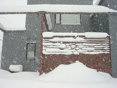 f0205733_141827.jpg