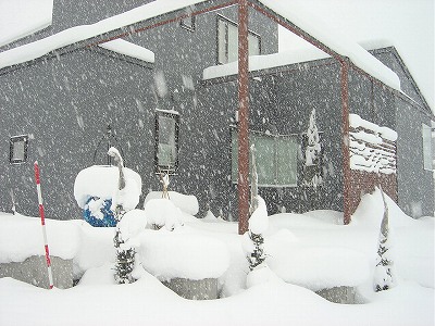 f0205733_14593.jpg