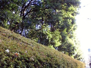 c0101739_1971783.jpg