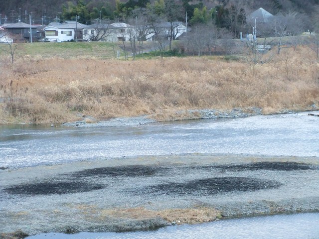 e0206242_1933192.jpg