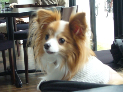 e0100046_2031080.jpg