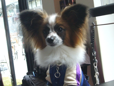 e0100046_20325983.jpg