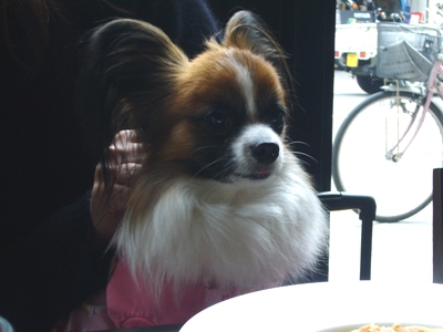 e0100046_20341113.jpg