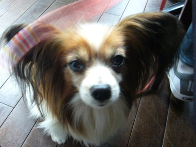 e0100046_2055284.jpg