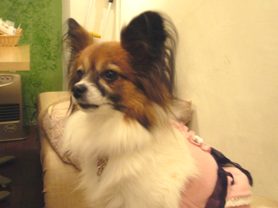 e0100046_2161437.jpg