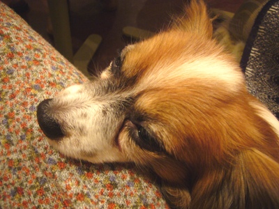 e0100046_2334895.jpg