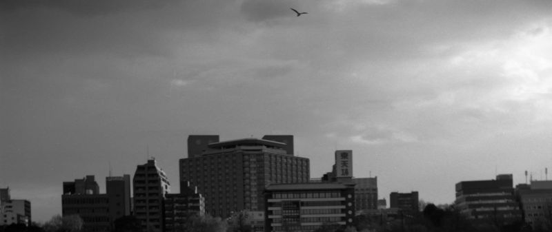 b0170947_22215521.jpg